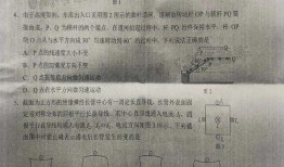 沧县爆料最新新闻事件是真的吗,真相揭秘